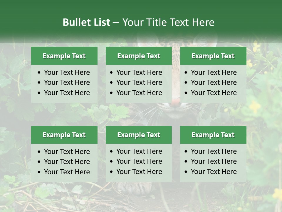 Mammal Animal Cat PowerPoint Template