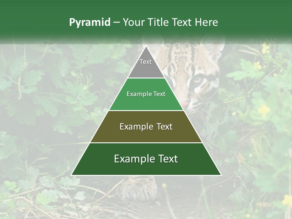 Mammal Animal Cat PowerPoint Template