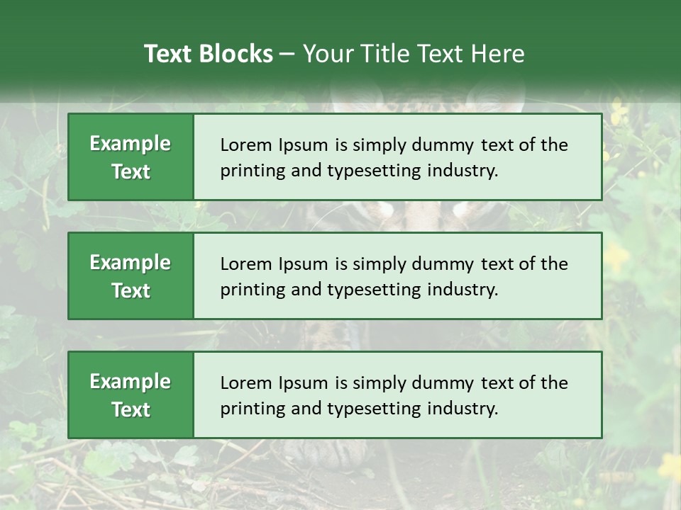Mammal Animal Cat PowerPoint Template