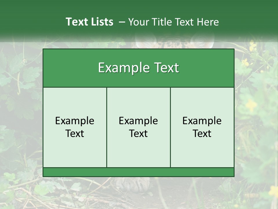 Mammal Animal Cat PowerPoint Template