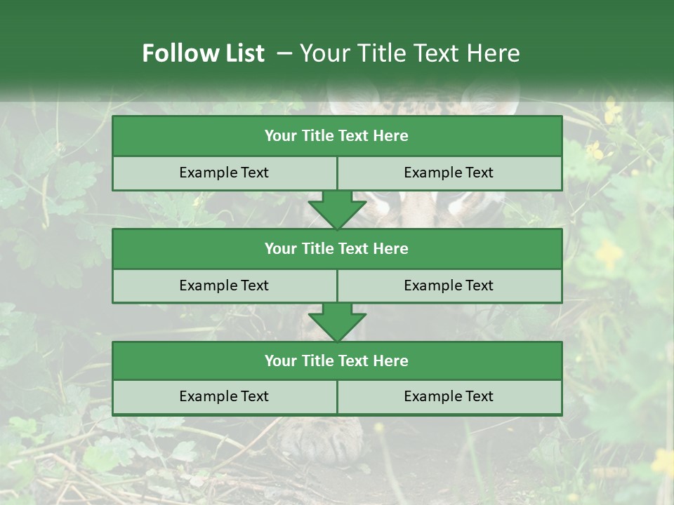 Mammal Animal Cat PowerPoint Template