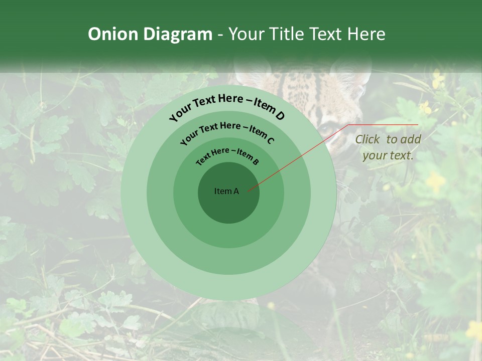 Mammal Animal Cat PowerPoint Template