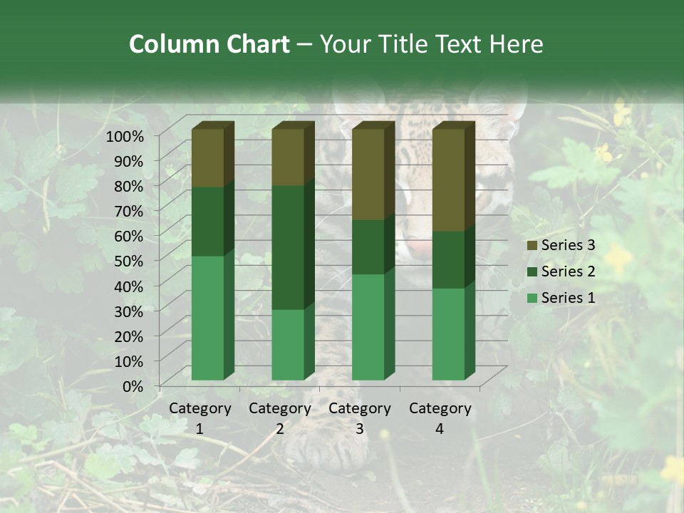 Mammal Animal Cat PowerPoint Template
