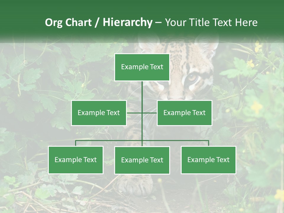 Mammal Animal Cat PowerPoint Template