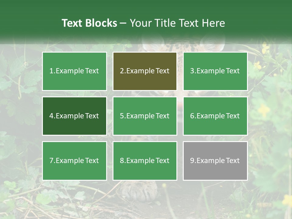 Mammal Animal Cat PowerPoint Template