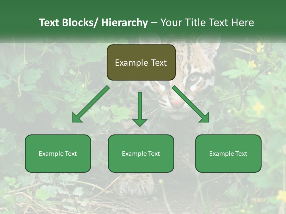 Mammal Animal Cat PowerPoint Template