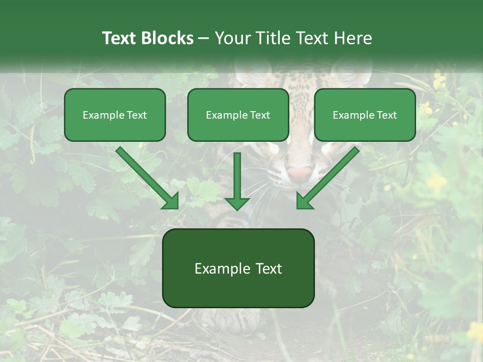 Mammal Animal Cat PowerPoint Template