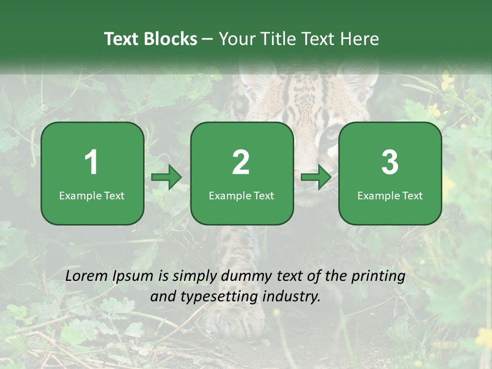 Mammal Animal Cat PowerPoint Template