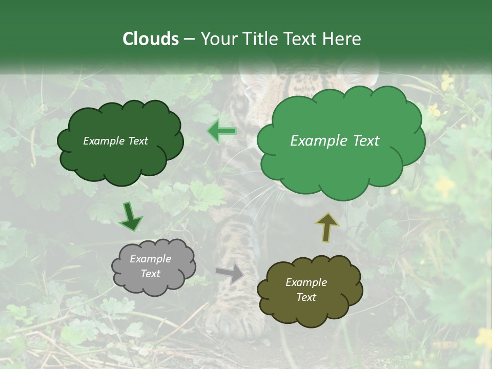 Mammal Animal Cat PowerPoint Template