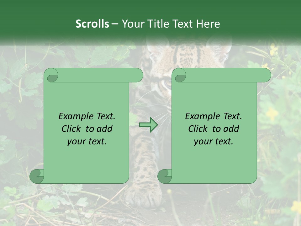 Mammal Animal Cat PowerPoint Template