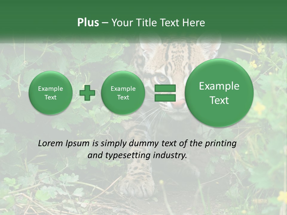 Mammal Animal Cat PowerPoint Template