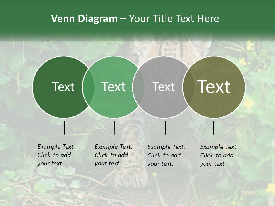 Mammal Animal Cat PowerPoint Template