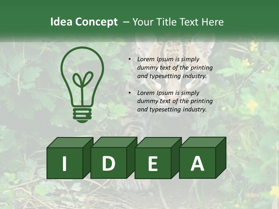 Mammal Animal Cat PowerPoint Template