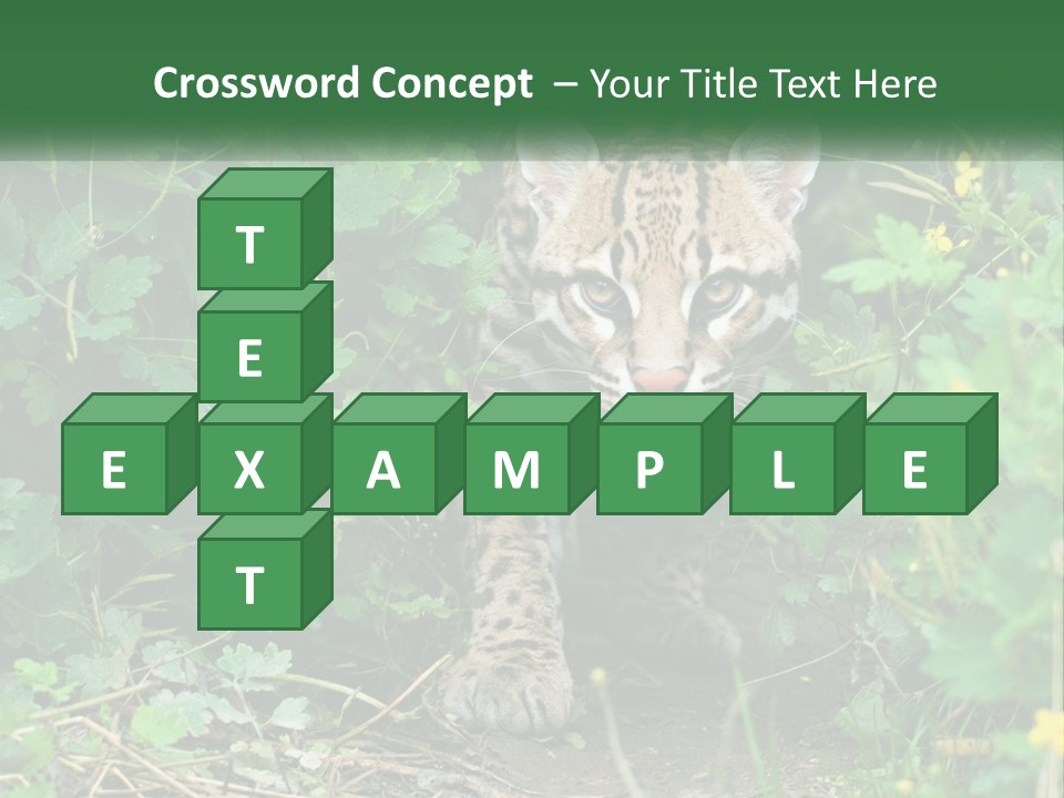 Mammal Animal Cat PowerPoint Template