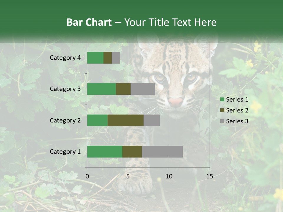 Mammal Animal Cat PowerPoint Template