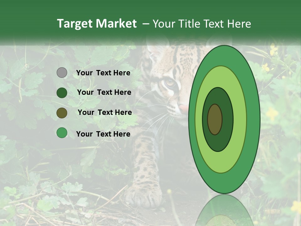 Mammal Animal Cat PowerPoint Template