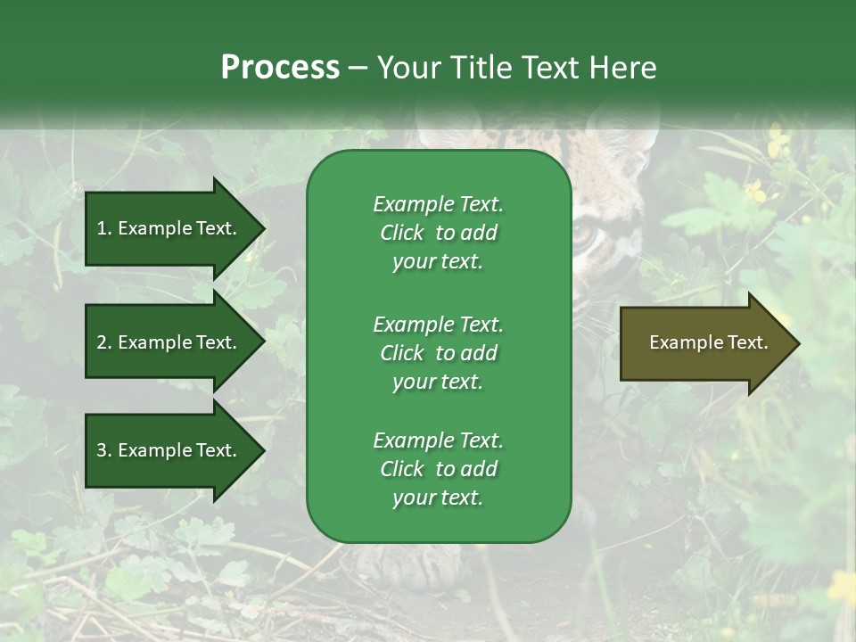 Mammal Animal Cat PowerPoint Template