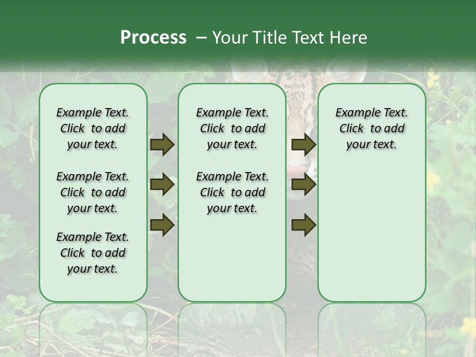 Mammal Animal Cat PowerPoint Template