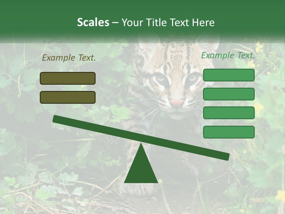Mammal Animal Cat PowerPoint Template
