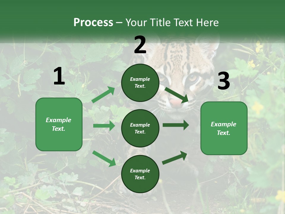 Mammal Animal Cat PowerPoint Template