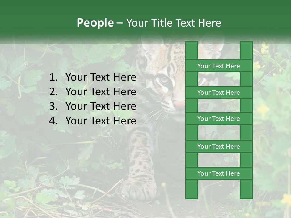 Mammal Animal Cat PowerPoint Template