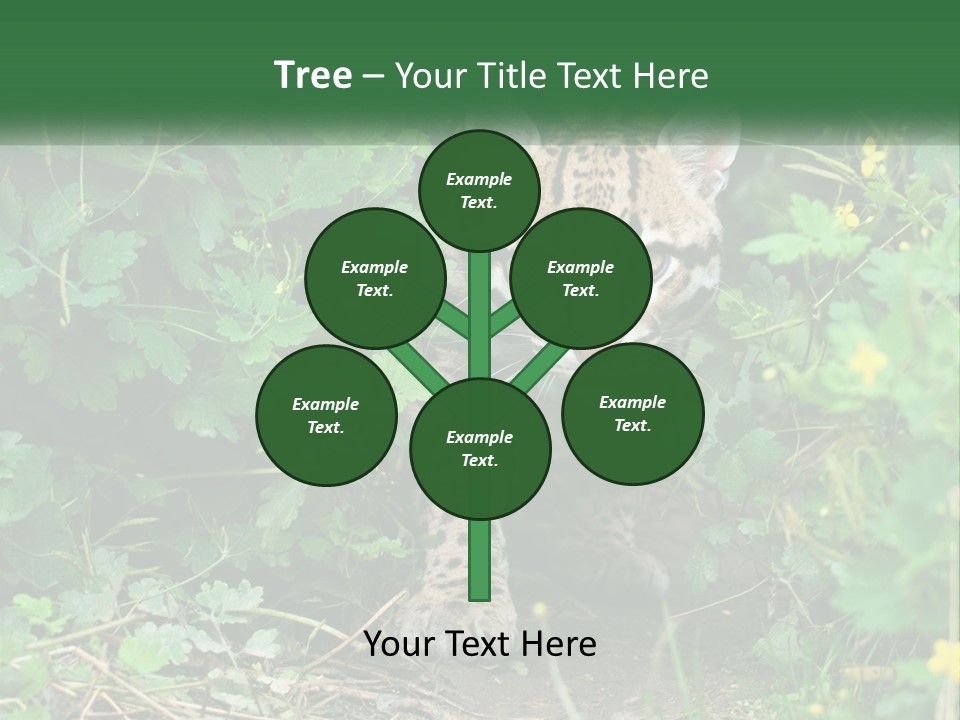 Mammal Animal Cat PowerPoint Template