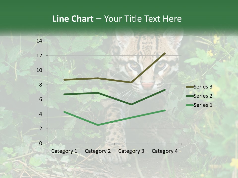 Mammal Animal Cat PowerPoint Template