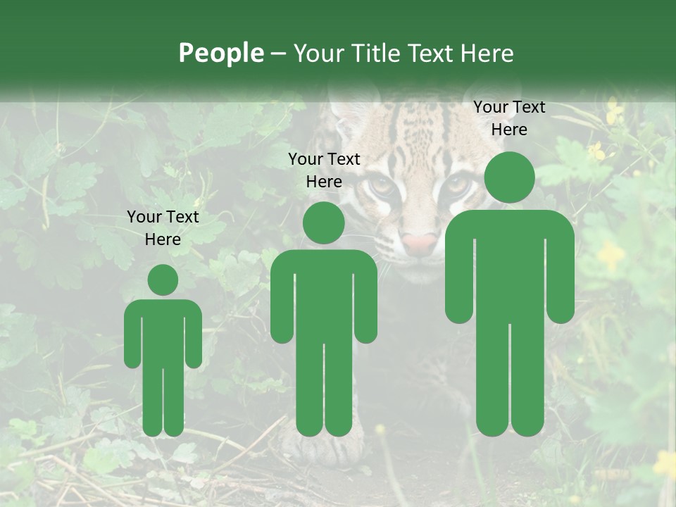 Mammal Animal Cat PowerPoint Template