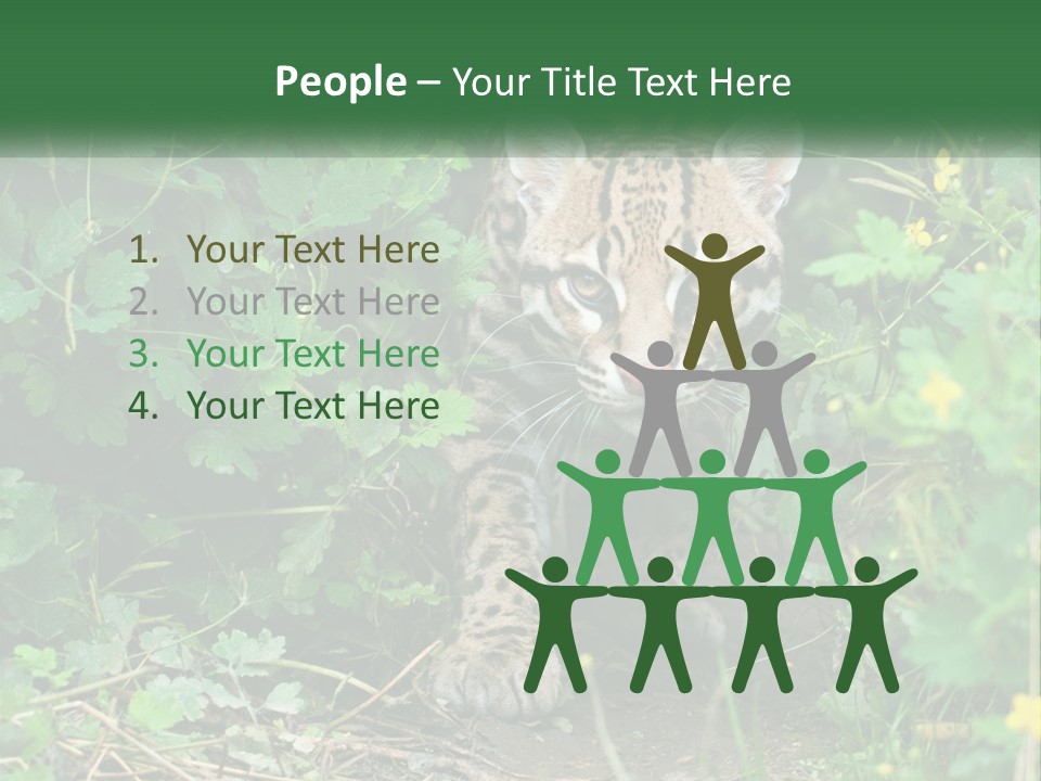 Mammal Animal Cat PowerPoint Template