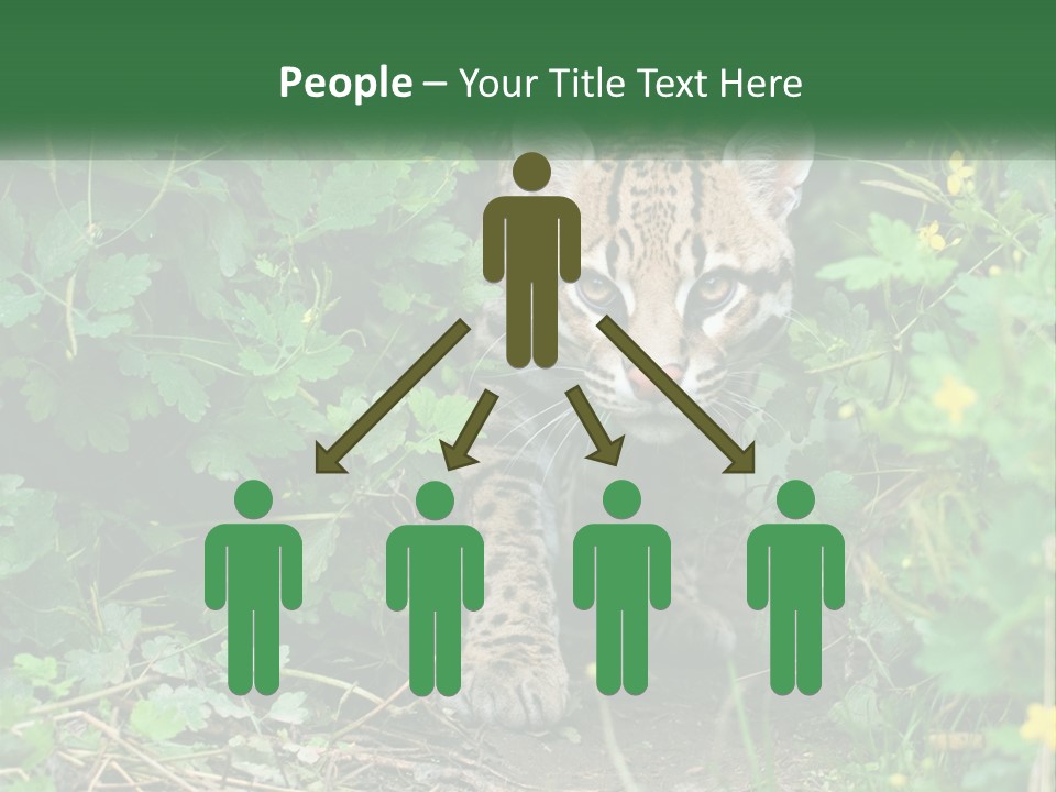 Mammal Animal Cat PowerPoint Template