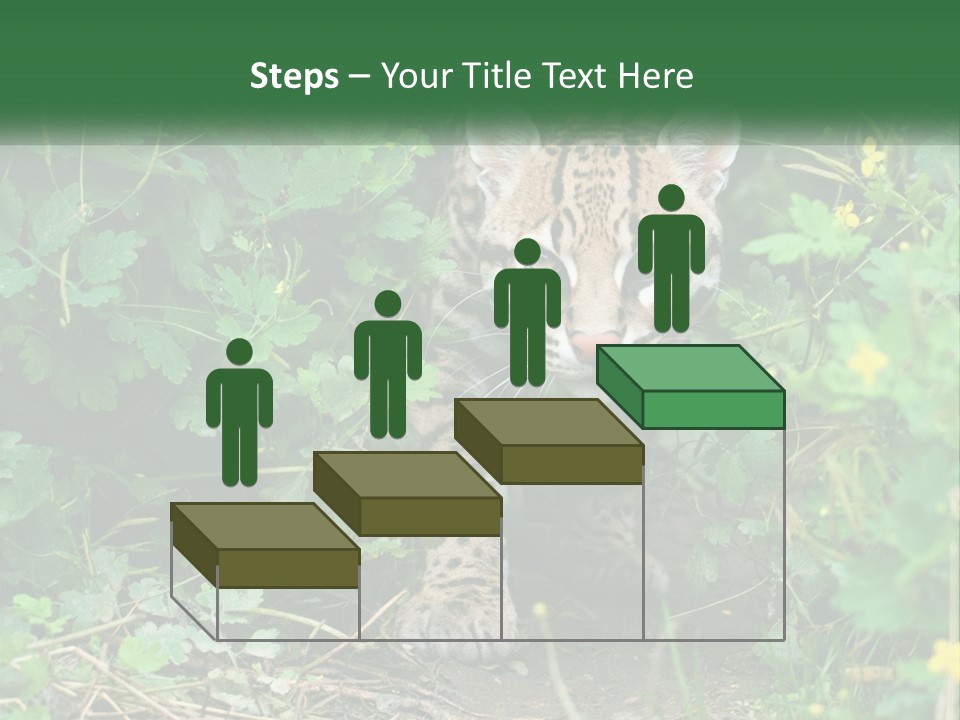 Mammal Animal Cat PowerPoint Template