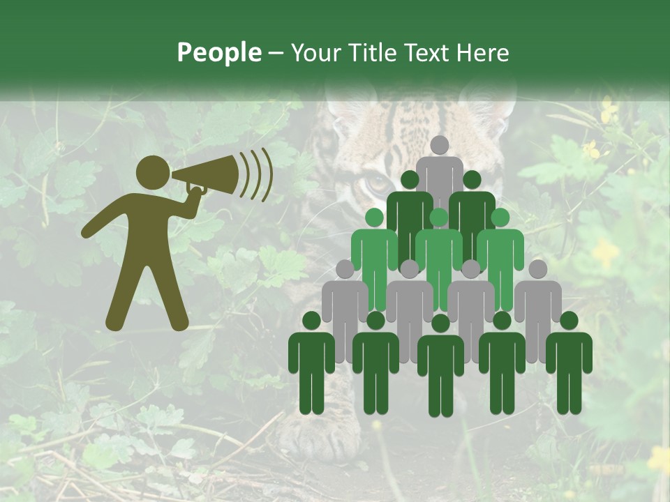 Mammal Animal Cat PowerPoint Template