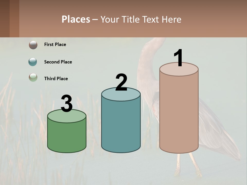 Wildlife Wetland Nature PowerPoint Template