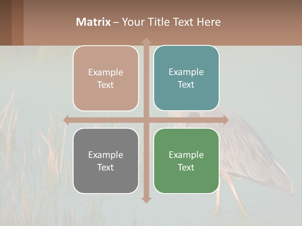 Wildlife Wetland Nature PowerPoint Template
