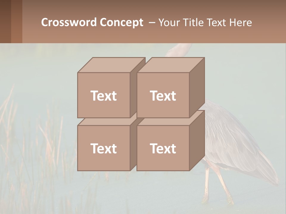 Wildlife Wetland Nature PowerPoint Template