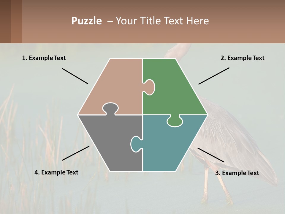 Wildlife Wetland Nature PowerPoint Template