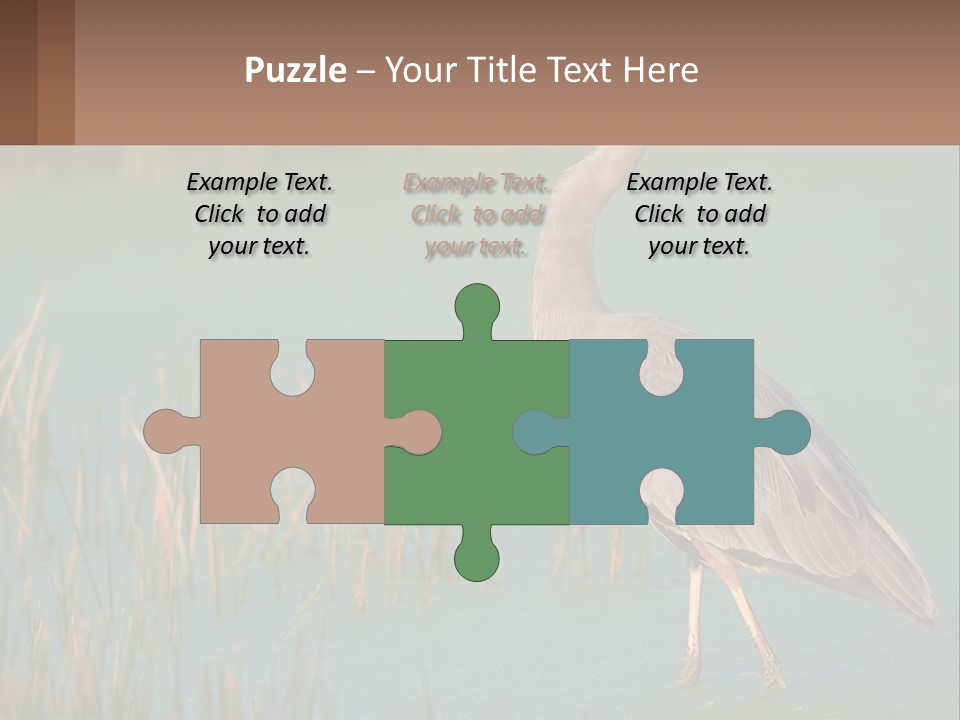 Wildlife Wetland Nature PowerPoint Template