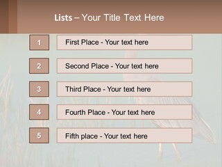 Wildlife Wetland Nature PowerPoint Template