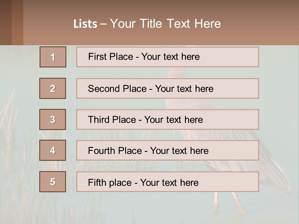 Wildlife Wetland Nature PowerPoint Template