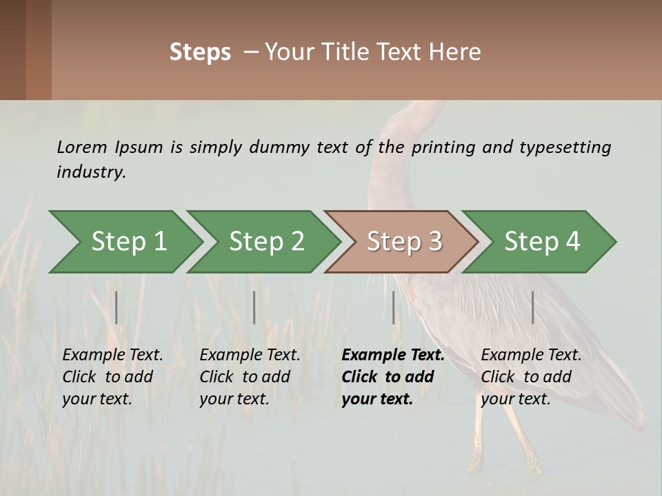 Wildlife Wetland Nature PowerPoint Template