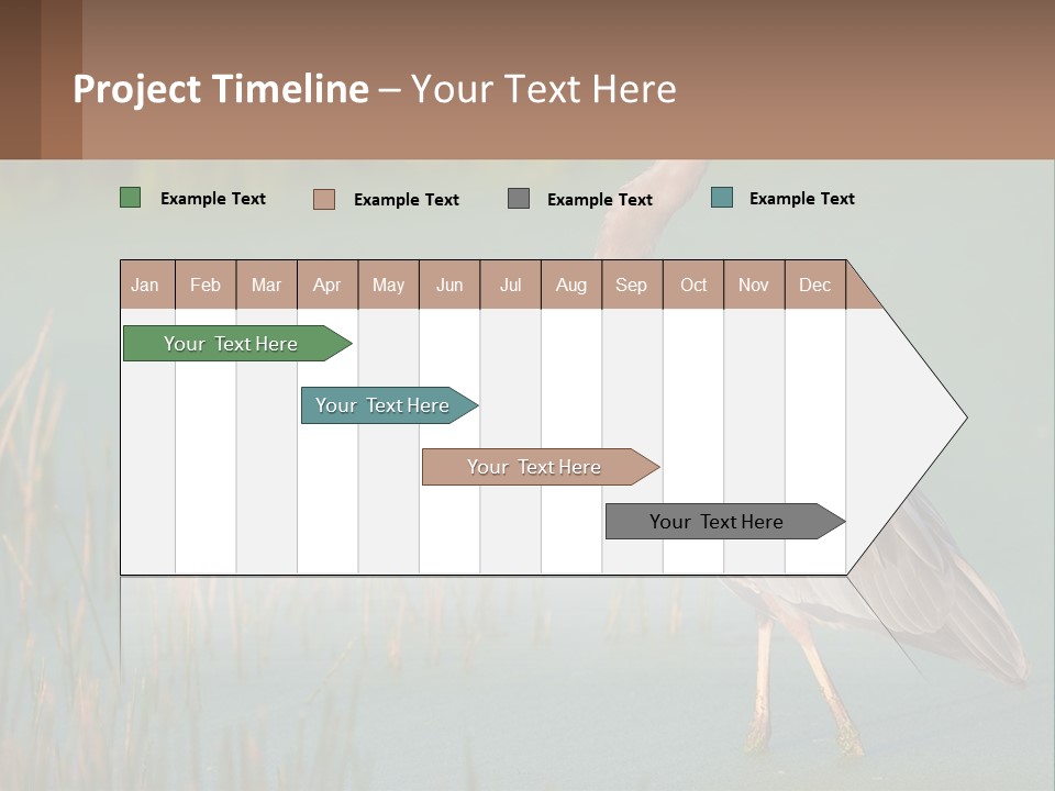 Wildlife Wetland Nature PowerPoint Template