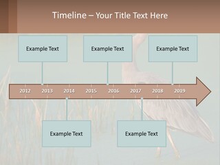 Wildlife Wetland Nature PowerPoint Template