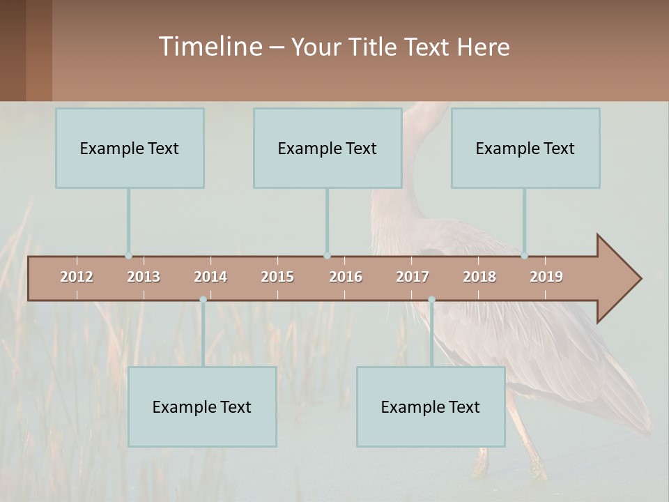 Wildlife Wetland Nature PowerPoint Template