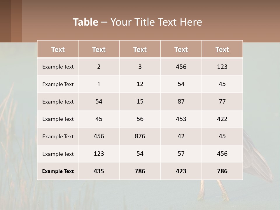 Wildlife Wetland Nature PowerPoint Template
