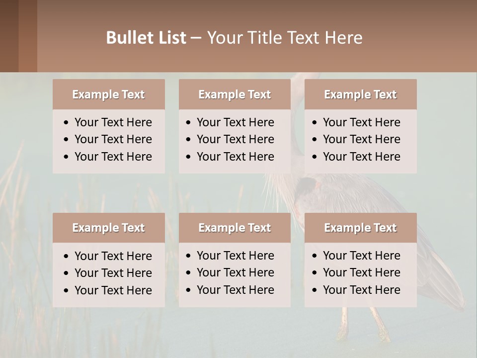 Wildlife Wetland Nature PowerPoint Template