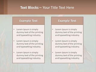 Wildlife Wetland Nature PowerPoint Template