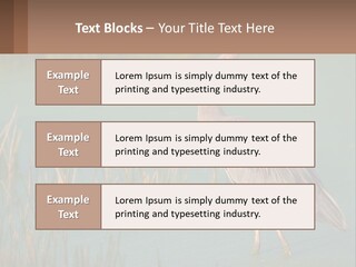 Wildlife Wetland Nature PowerPoint Template
