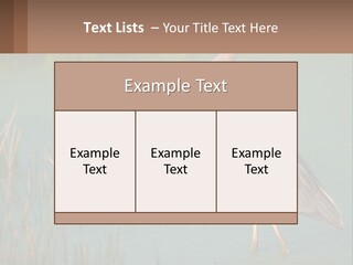 Wildlife Wetland Nature PowerPoint Template