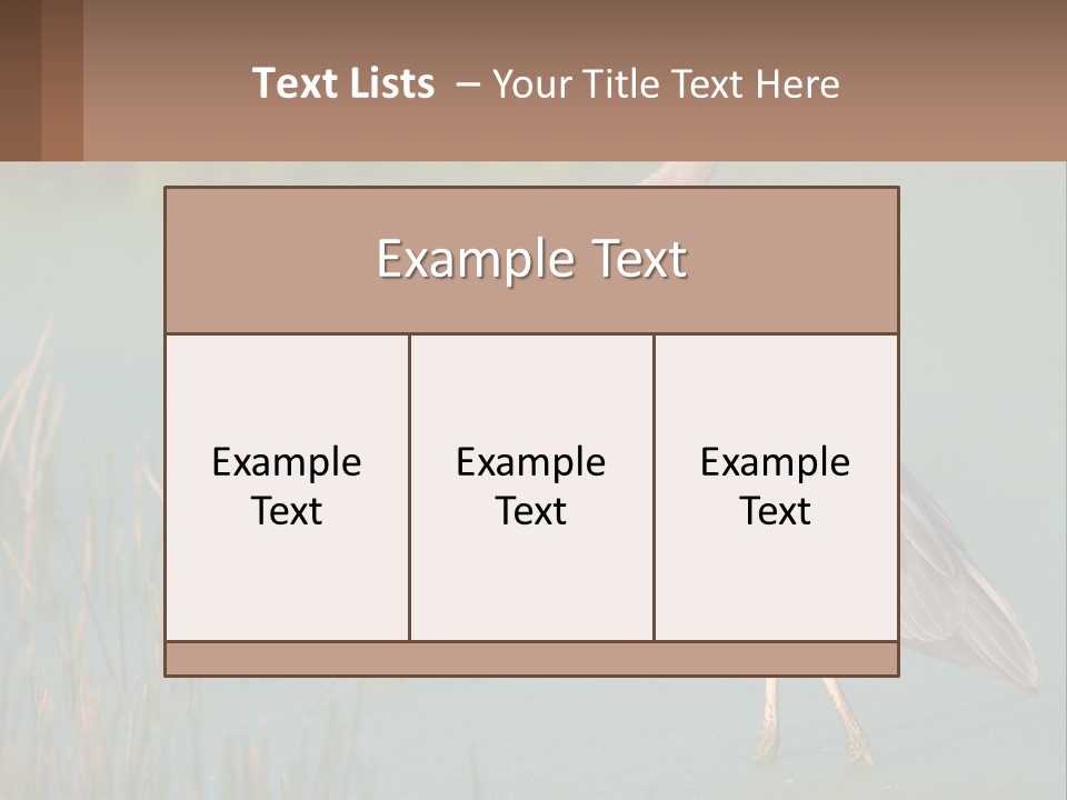 Wildlife Wetland Nature PowerPoint Template