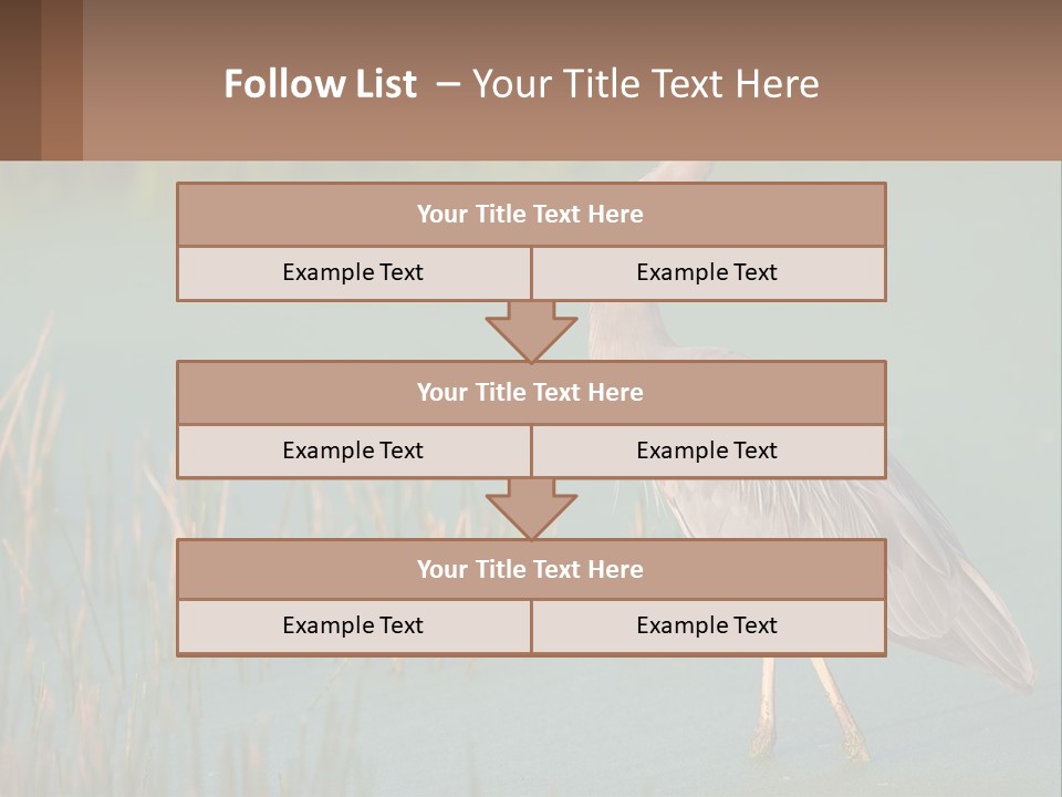 Wildlife Wetland Nature PowerPoint Template